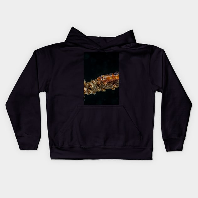 Colored sea whip coral goby Kids Hoodie by SCUBAddict